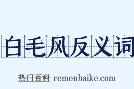 白毛风反义词是什么意思的图片